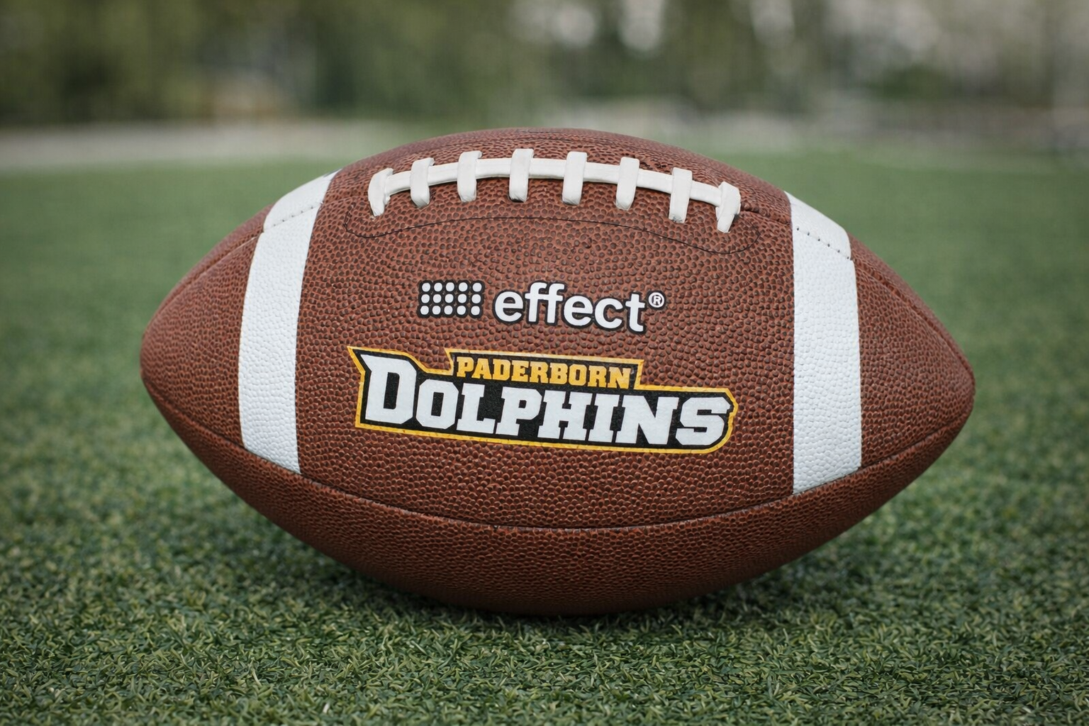 effect X Paderborn Dolphins Replica Football